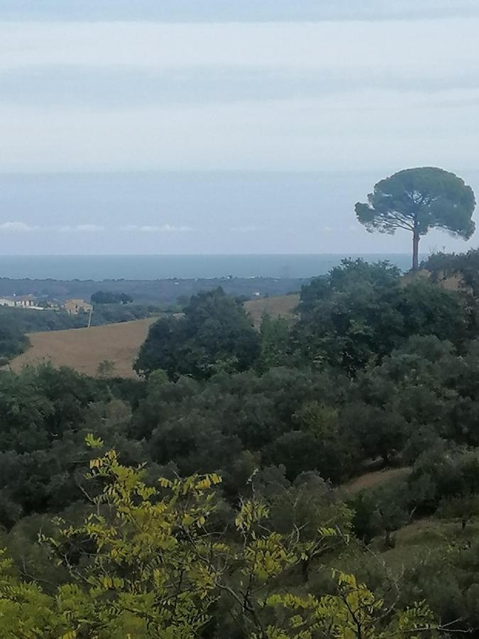 Italian Bed Breakfast Bed and Breakfast Paglieta Esterno foto